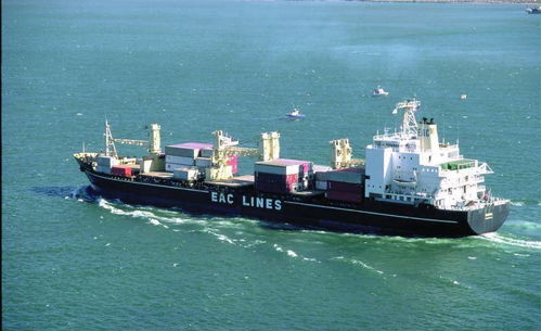 專業(yè)高效，上海易馳貨運助您輕松實現(xiàn)國際海運